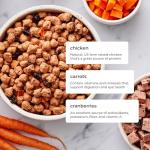 Freshpet Grain Free Chicken Food for Small Dogs