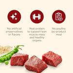 Nutrish Real Beef Dry Dog Food for Adults