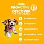 IAMS Proactive Health Puppy Food with Chicken