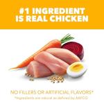 IAMS Proactive Health Puppy Food with Chicken