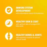 IAMS Proactive Health Puppy Food with Chicken