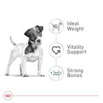 Royal Canin Small Breed Senior Dry Dog Food