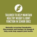 ORIJEN Grain-Free High Protein Senior Dog Food