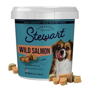 Stewart Freeze-Dried Salmon Dog Treats, 9.5 oz