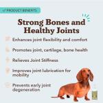 Natural Dog Liquid Glucosamine for Hip & Joints