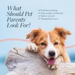 Hot Spot & Itch Relief Medicated Conditioner for Pets