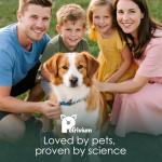 Dog Multivitamin Chews for Joint and Overall Health