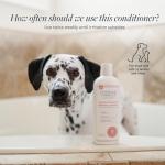 Hot Spot & Itch Relief Medicated Conditioner for Pets