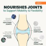 Extra Strength Hip & Joint Chews for Dogs