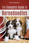 Bernedoodle Care Guide: Raise Your Puppy Right!