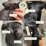 Wild Alaskan Salmon Oil for Dogs - 100 Soft Gels