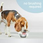 Nylabone Dental Water Additive for Fresh Breath