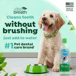 TropiClean Dog Water Additive for Fresh Breath
