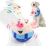 Interactive Jumping Squeaky Dog Toy with Music