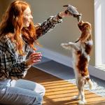 Hollypet Plush Squeaky Armadillo Dog Toy