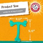 Arm & Hammer Peanut Butter Dental Chew Toy for Dogs