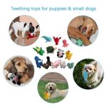 Squeaky Plush Dog Toy Pack for Puppies