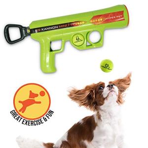 Hyper Pet Mini K9 Dog Ball Launcher for Small Breeds