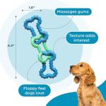 Outward Hound Bone Tugz Tug-of-War Toy