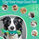 Durable Squeaky Dog Toys for Aggressive Chewers