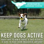 Mini Tennis Ball Launcher for Small Dogs