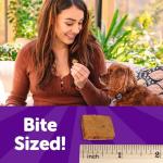 Natural Grain-Free Puppy Training Treats, Lamb & Salmon