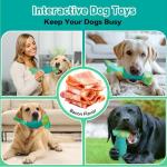 Durable Squeaky Dog Toys for Aggressive Chewers