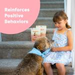 Soft & Chewy Chicken Training Treats for Dogs