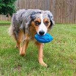 EASTBLUE Durable Squeaky Dog Toy for Aggressive Chewers