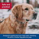 Herm Sprenger Ultra-Plus Prong Training Collar 20