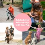 Soft & Chewy Chicken Training Treats for Dogs