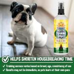 Bodhi Dog Potty Training Spray for Puppies