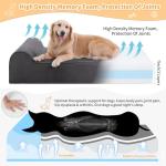 Large Orthopedic 7" Memory Foam Dog Bed