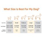 Amazon Basics X-Large Cooling Elevated Dog Bed