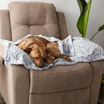 Bone Dry Gray Bone Print Pet Blanket 36x48