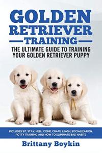 Golden Retriever Training Guide for Puppies
