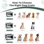 Portable 36-Inch Collapsible Dog Crate for Travel