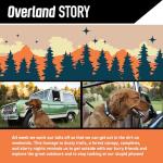 Wolfgang Heavy Duty Adjustable Dog Collar - Medium