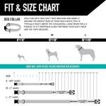 Wolfgang Heavy Duty Adjustable Dog Collar - Medium