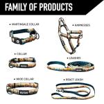 Wolfgang Heavy Duty Adjustable Dog Collar - Medium