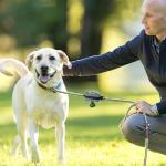 Tuff Mutt Dog Poop Bag Holder with Velcro