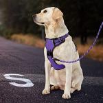 Ivy&Lane No Pull Adjustable Dog Harness (Purple)