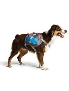 Cesar Millan Small Dog Backpack