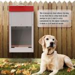 Automatic Large Dog Food Dispenser for Outdoor Use