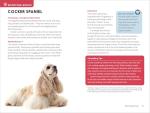 Dog Breed Guide for Kids: 50 Fun Breeds