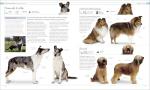 Ultimate Dog Encyclopedia for Pet Lovers