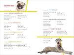 Dog Breed Guide for Kids: 50 Fun Breeds