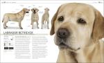 Complete Dog Breed Book: The Definitive Guide