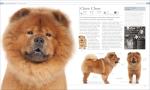 Ultimate Dog Encyclopedia for Pet Lovers