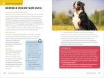 Dog Breed Guide for Kids: 50 Fun Breeds